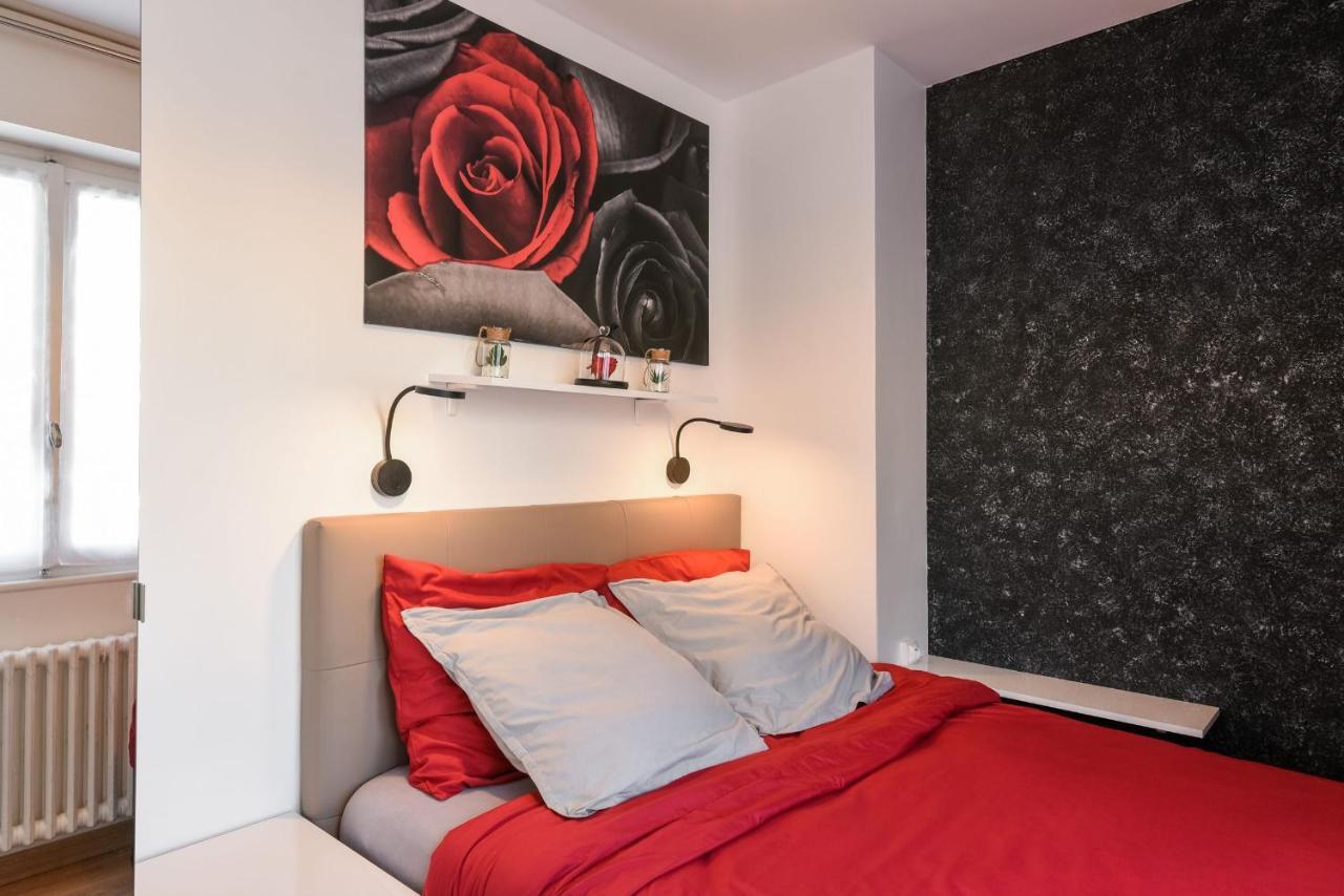Au Nom De La Rose - Casa Vostra - Caution 800 Eur & Id Requises - Annemasse Apartment Exterior foto